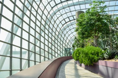 Modern bir sera bahçesindeki renkli sulu bitkilerin yakın çekimi