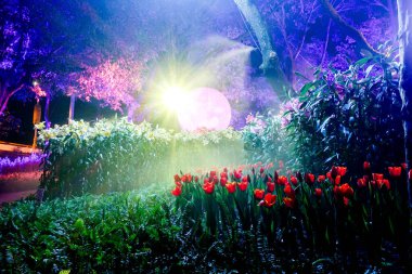 Şehrin güzel gece manzarası