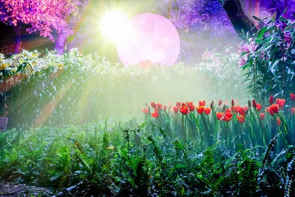 Bahçedeki güzel çiçekler