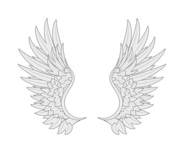 white angel wings many feathers beauty.vector image stock clipart