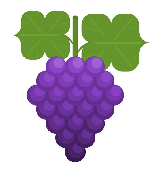 stock image bunch of grapes berries fruits. flat style simple drawing picture