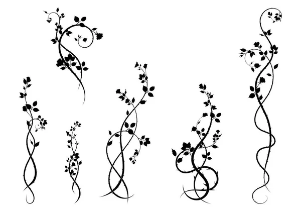 Selection Frame Elements Rose Plants Doodle Sketch Picture Stock — Stock Photo, Image