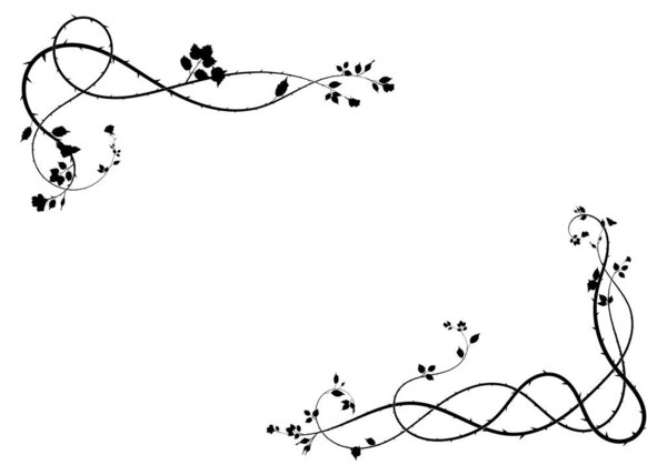 simple frame flowers and thorns plant on white. doodle sketch picture stock