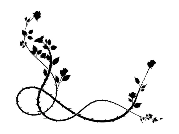 とげが植物を織るバラのパターン要素コーナー スクロール画像 — ストック写真