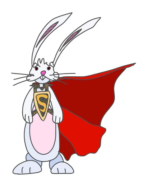 ウサギのスーパーヒーロー面白いキャラクターペット ストック画像 — ストック写真