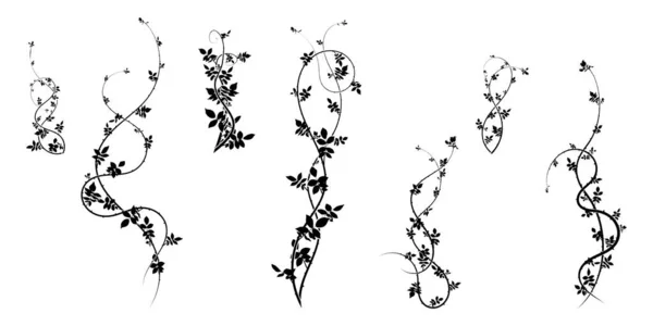 Άιβι Μοτίβο Hawthorn Φυτό Για Στολίδι Εικόνα Διανύσματος Αποθέματος — Διανυσματικό Αρχείο