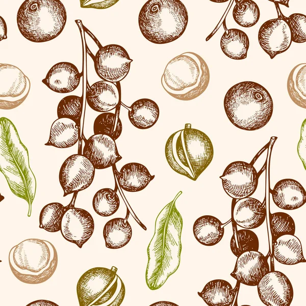 Vintage Hand Drawn Seamless Pattern Macadamia Nuts Vector Illustrations — Stock Vector