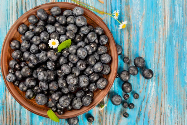 Fresh Blueberries Brown Plate Blue Wooden Background Berries Daisy Flowers — Stock Photo, Image