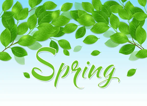 Frühling Hintergrund Mit Grünen Blättern Und Blauem Himmel — Stockvektor
