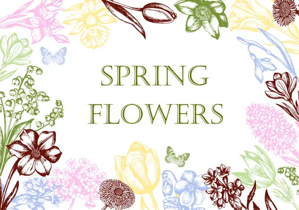 Vintage Floral Frame Spring Flowers Hand Drawn Vector Illustration — Stock Vector