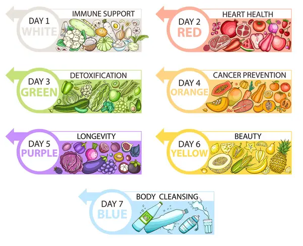 stock vector Healthy color diet infographics. A daily diet nutrition plan schedule. Diagram of healthy food for health and beauty. Vector illustration