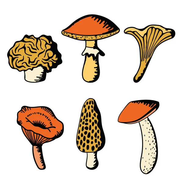 Arte Vetorial Desenhada Mão Seis Cogumelos Exalando Fascínio Rústico Caprichoso Ilustrações De Stock Royalty-Free