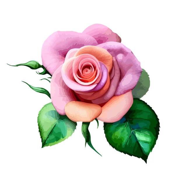 Aquarelle Vectorielle Roses Roses Carte Peinture Nuptiale Beauté Élément Graphique — Image vectorielle