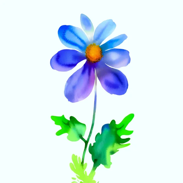 Векторный Акварель Синий Цветок Изолированный Фон Весенняя Красота Свадебные Окрашенные — стоковый вектор
