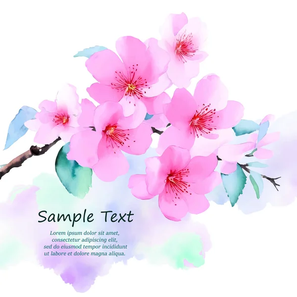 장식가지에 배경에 벚꽃이 위치를 사쿠라 포스터 비행기 상표를 디자인 — 스톡 벡터