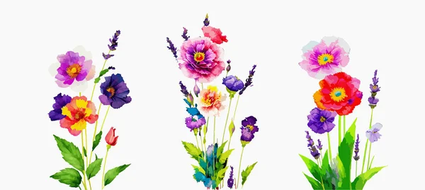 Buket Lapangan Yang Diset Dengan Bunga Opium Dan Lavender Undangan - Stok Vektor