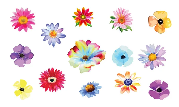 色彩艳丽的雏菊花朵 白色背景 简单的植物载体元素 生日卡片 — 图库矢量图片