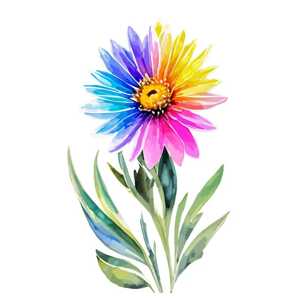 Aquarelle Arc Ciel Marguerite Colorée Illustration Florale Peinte Main Isolée — Image vectorielle