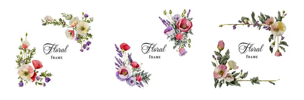 Ensemble Cadre Floral Collection Avec Coquelicots Fleurs Lavande Élégantes Décorations — Image vectorielle