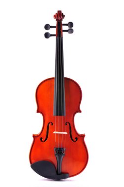 Beyaz arka planda gül ağacından yapılmış keman