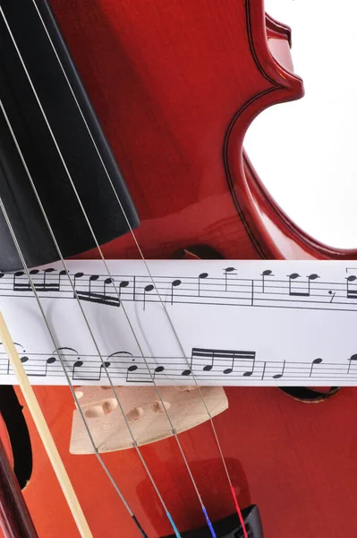 Скрипка Палисандра Белом Фоне Нотами — стоковое фото
