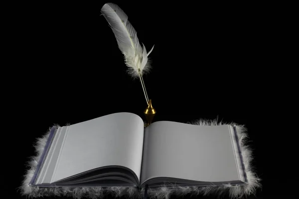 Randevularda ve düğünlerde ziyaretçilerin düşüncelerini yazmak için kullanılan hatıra defteri ve kalem.