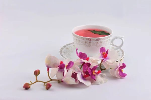 Cup Herbal Tea White Pink Flowers White Background — Fotografia de Stock
