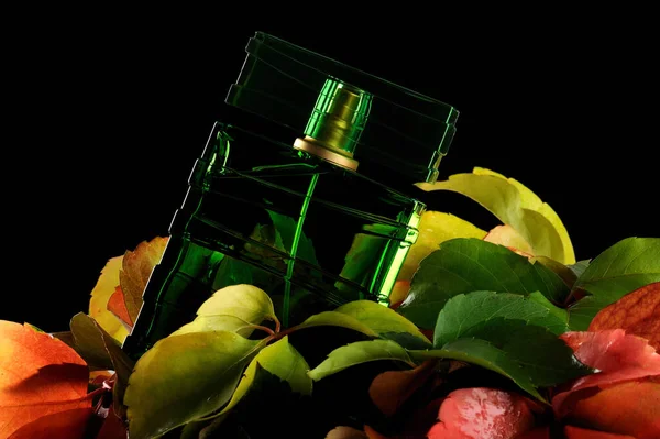 Garrafa Perfume Folhas Outono Coloridas Fundo Preto — Fotografia de Stock