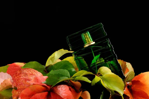 Frasco Perfume Hojas Otoño Colores Sobre Fondo Negro — Foto de Stock