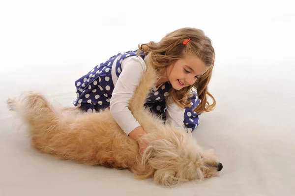 Милая Маленькая Девочка Играет Своей Собакой Белом Фоне — стоковое фото