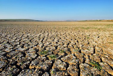 Çatlaklı kuru topraklar ve su ağacı yokluğunda boşluklar dünyanın tatlı su krizini gösteriyor.