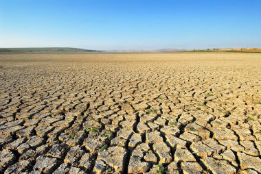 Kuru topraklar çatladı ve su yokluğunda dünyanın tatlı su krizini işaret etti.