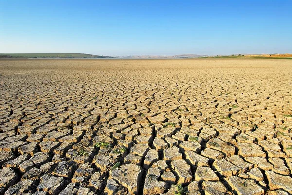 stock image Dry soils cracked and pitted in the absence of water point to the world's freshwater crisis