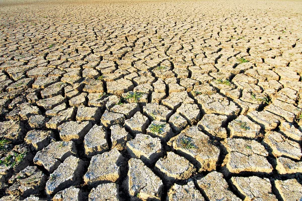 Dry Soils Cracked Pitted Absence Water Point World Freshwater Crisis — Stock Photo, Image