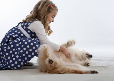 Küçük kız beyaz bir arka planda stüdyoda bir köpekle oynuyor.