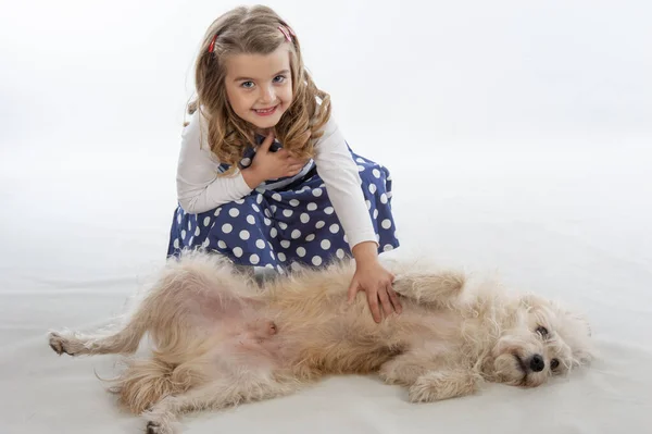 Little girl with a dog on a white background. Studio shooting.