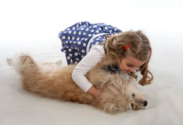 Klein Meisje Spelen Met Haar Golden Retriever Hond Een Witte — Stockfoto