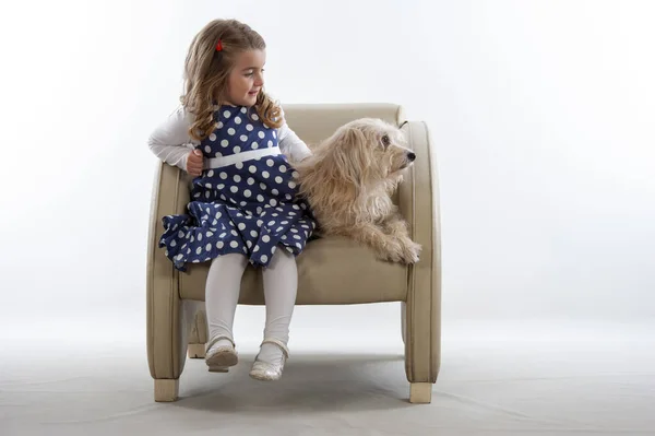 Petite Fille Assise Sur Une Chaise Avec Chien Fond Blanc — Photo