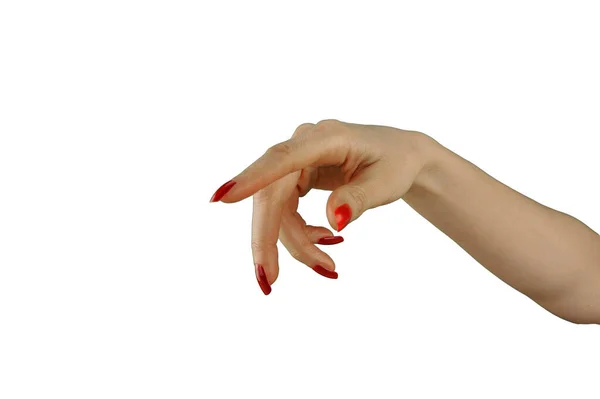 Mano Femminile Con Manicure Rossa Che Tiene Qualcosa Isolato Sfondo — Foto Stock