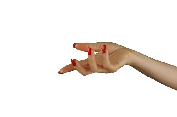 Weibliche Hand Mit Roter Maniküre Die Etwas Isoliertes Auf Weißem — Stockfoto
