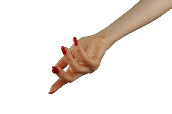 Female Hand Red Manicure Holding Something Isolated White Background — Stock Photo, Image