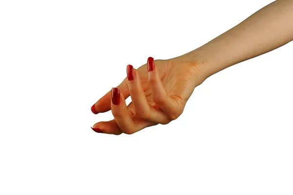 Vrouwelijke Hand Met Rode Manicure Houden Iets Geïsoleerd Witte Achtergrond — Stockfoto