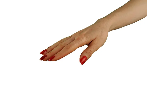Female Hand Red Manicure Holding Something Isolated White Background — Stock Photo, Image