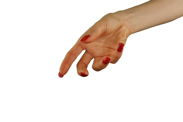 Weibliche Hand Mit Roter Maniküre Die Etwas Isoliertes Auf Weißem — Stockfoto