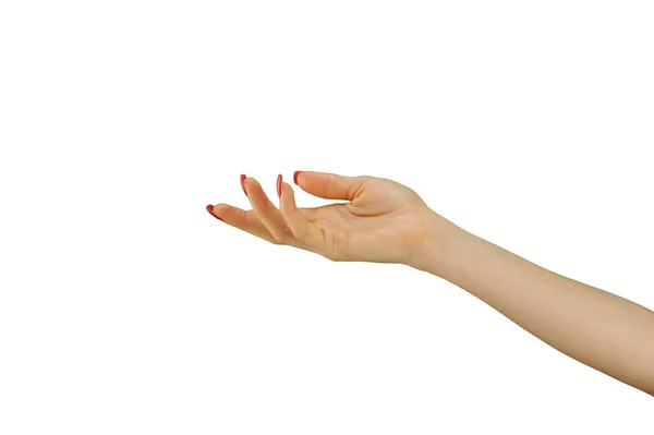 Kobieta Czerwonym Manicure Gospodarstwa Coś Izolowane Białym Tle — Zdjęcie stockowe