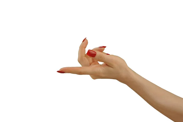 Gyönyörű Kézfogás Mutató Pozíció Elszigetelt Fehér — Stock Fotó