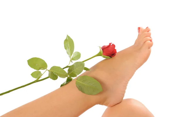 Beutiful Female Legs Red Nail Polish Rose Isolated White Background — Stock Photo, Image
