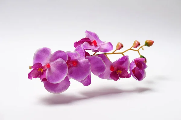 Beyaz arkaplanda özel kumaştan yapılmış yapay mor orkide. Stüdyo çekimi. İzole edilmiş.