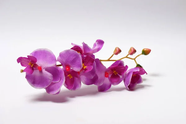 Orquídea Roxa Artificial Feita Tecido Especial Fundo Branco Filmagem Estúdio — Fotografia de Stock