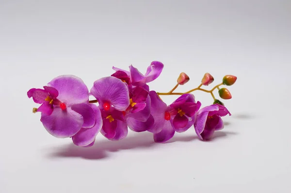 Orquídea Roxa Artificial Feita Tecido Especial Fundo Branco Filmagem Estúdio — Fotografia de Stock